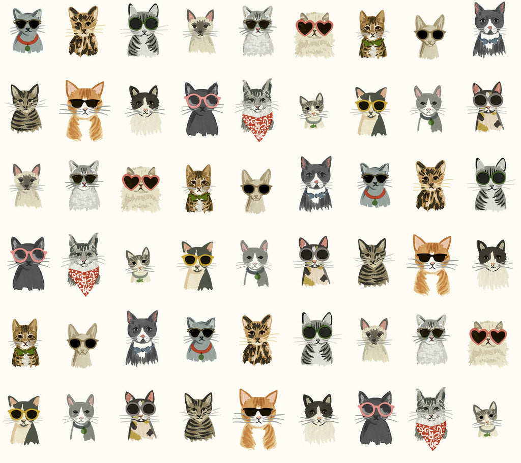 Cool Cats Peel & Stick Wallpaper