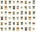 Cool Cats Peel & Stick Wallpaper