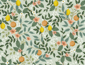 Citrus Grove Peel & Stick Wallpaper
