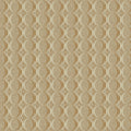 RC3750 Circles