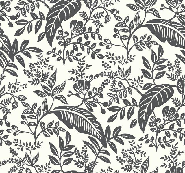 Canopy Wallpaper