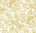 Canopy Wallpaper
