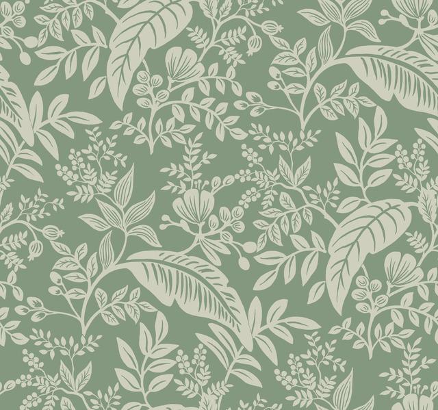 Canopy Wallpaper