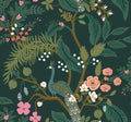 Peacock Wallpaper