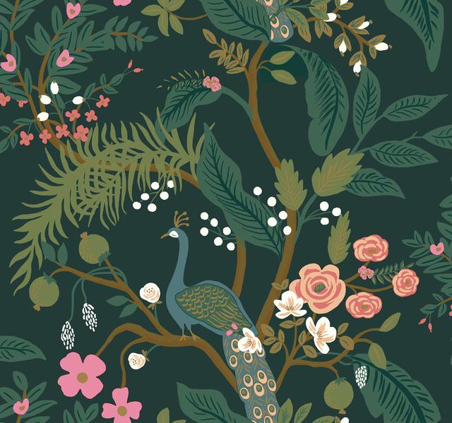 Peacock Wallpaper