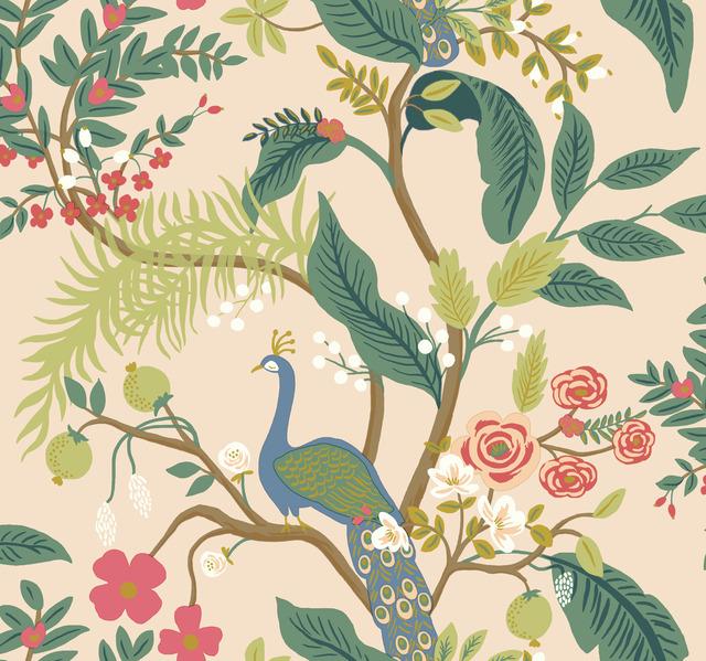 Peacock Wallpaper
