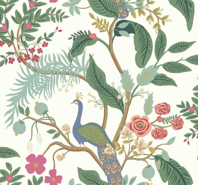 Peacock Wallpaper