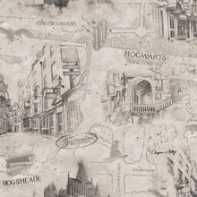 Load image into Gallery viewer, HARRY POTTER MAP PEEL &amp; STICK WALLPAPER