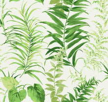 Load image into Gallery viewer, FERN FOREST PEEL &amp; STICK WALLPAPER MURAL