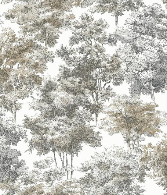 OLD WORLD TREES PEEL & STICK WALLPAPER