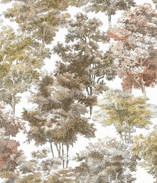 OLD WORLD TREES PEEL & STICK WALLPAPER