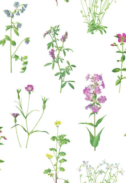 BOTANICAL PRINT PEEL & STICK WALLPAPER