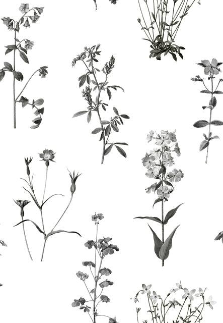 BOTANICAL PRINT PEEL & STICK WALLPAPER