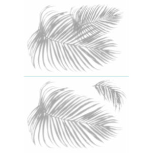 PALM SHADOW PEEL AND STICK GIANT WALL DECALS