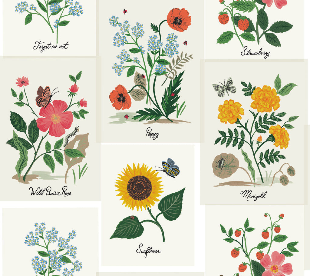 Botanical Prints Wallpaper