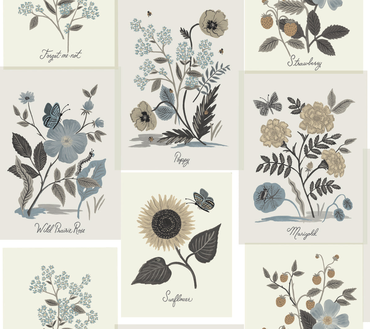Botanical Prints Wallpaper