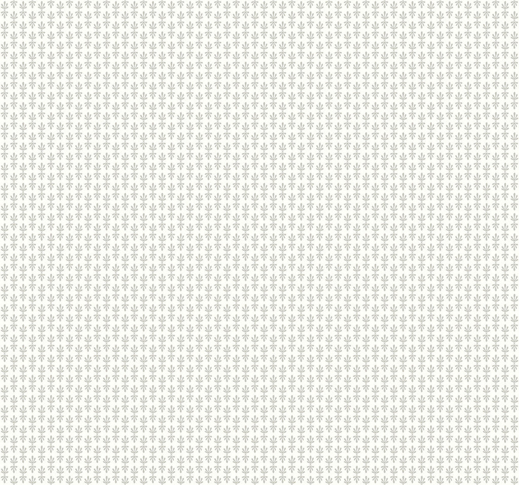 Petal Wallpaper