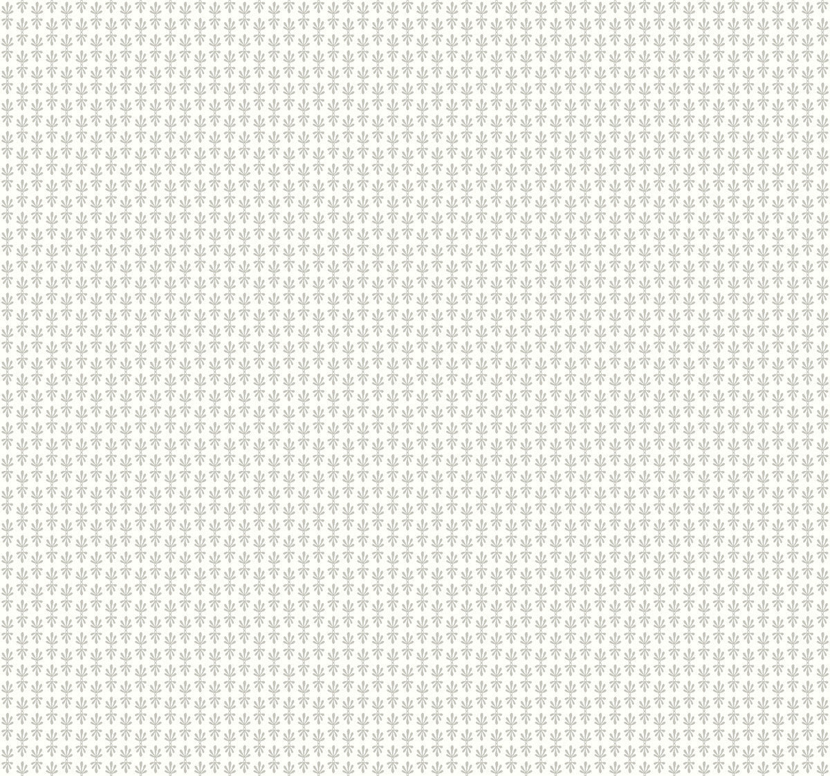 Petal Wallpaper