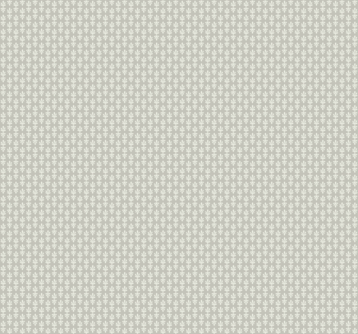 Petal Wallpaper