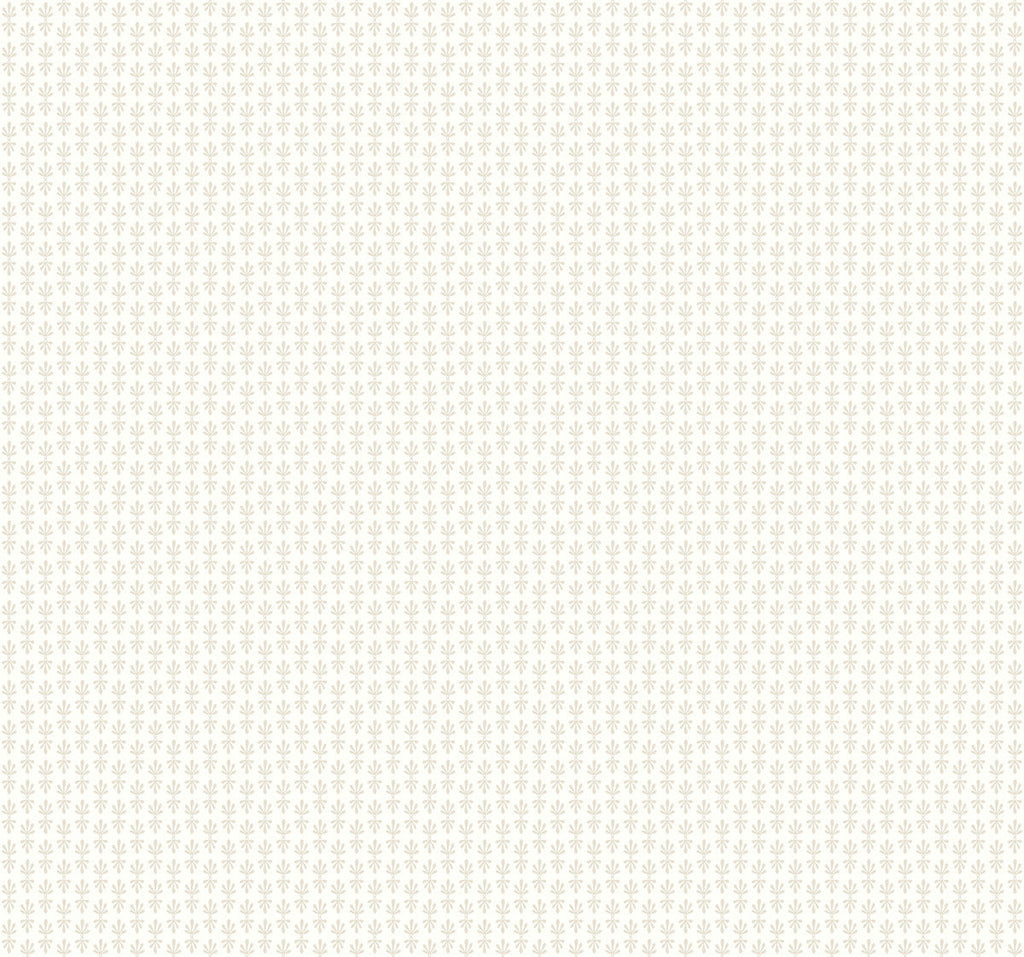 Petal Wallpaper