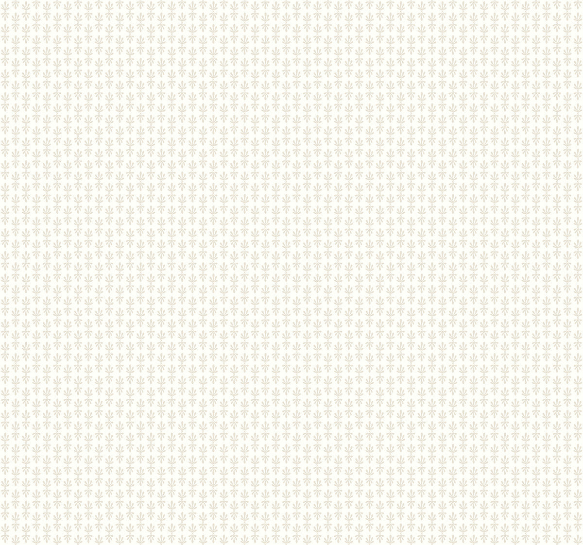 Petal Wallpaper