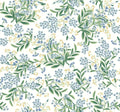 Cornflower Wallpaper