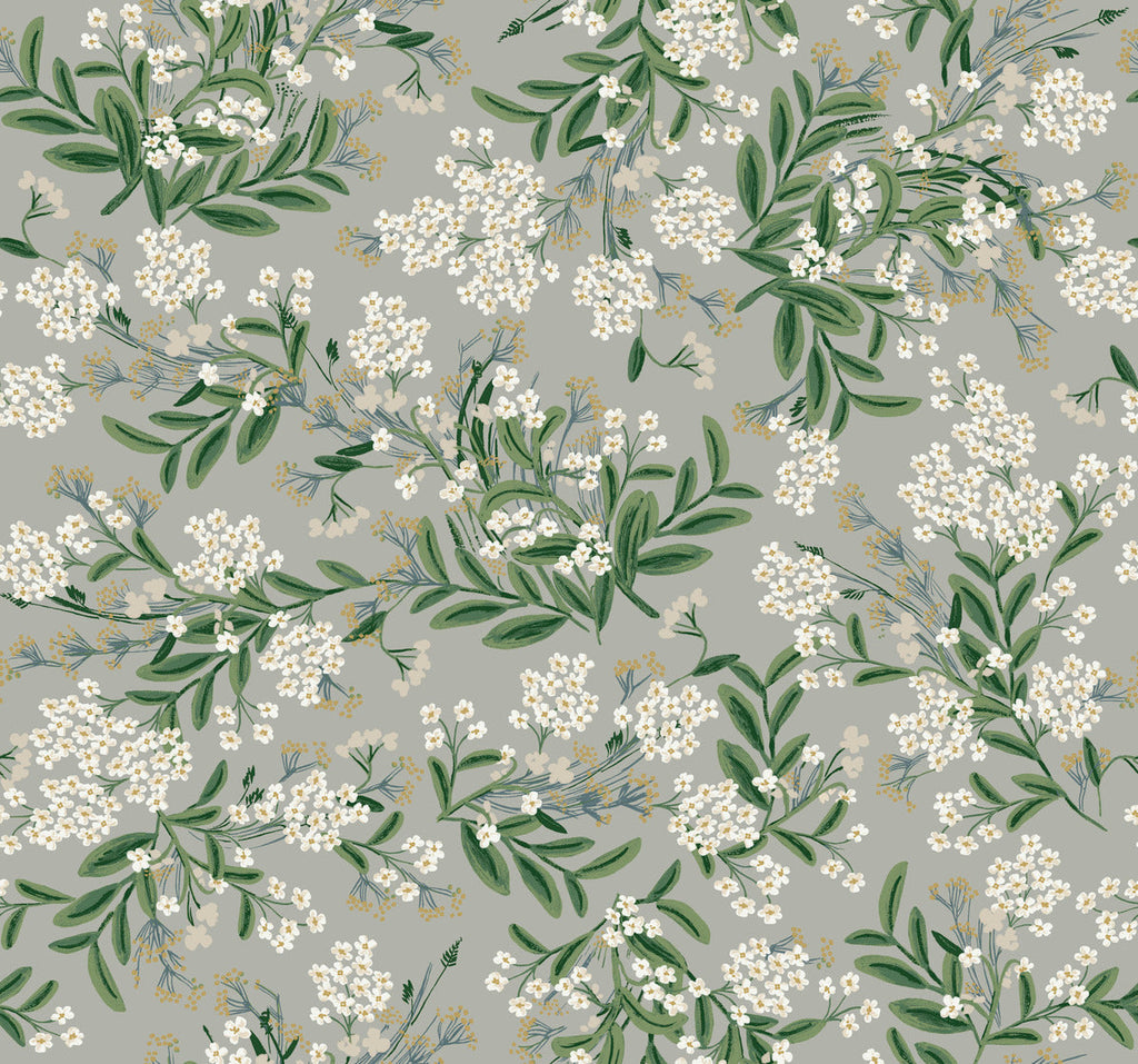 Cornflower Wallpaper