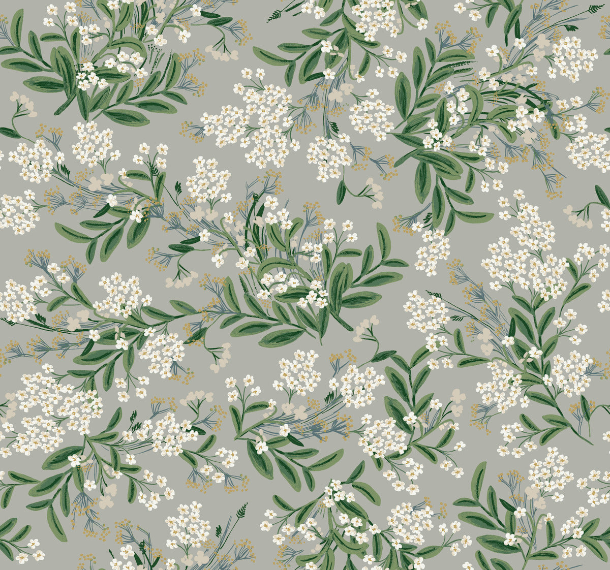 Cornflower Wallpaper