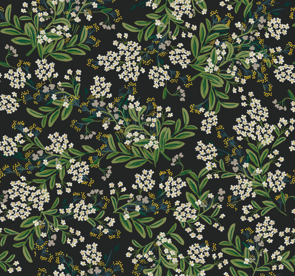 Cornflower Wallpaper