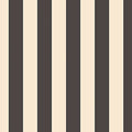 BLACK AND BEIGE STRIPE