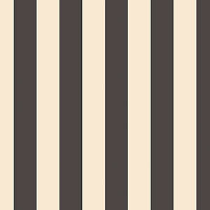 BLACK AND BEIGE STRIPE