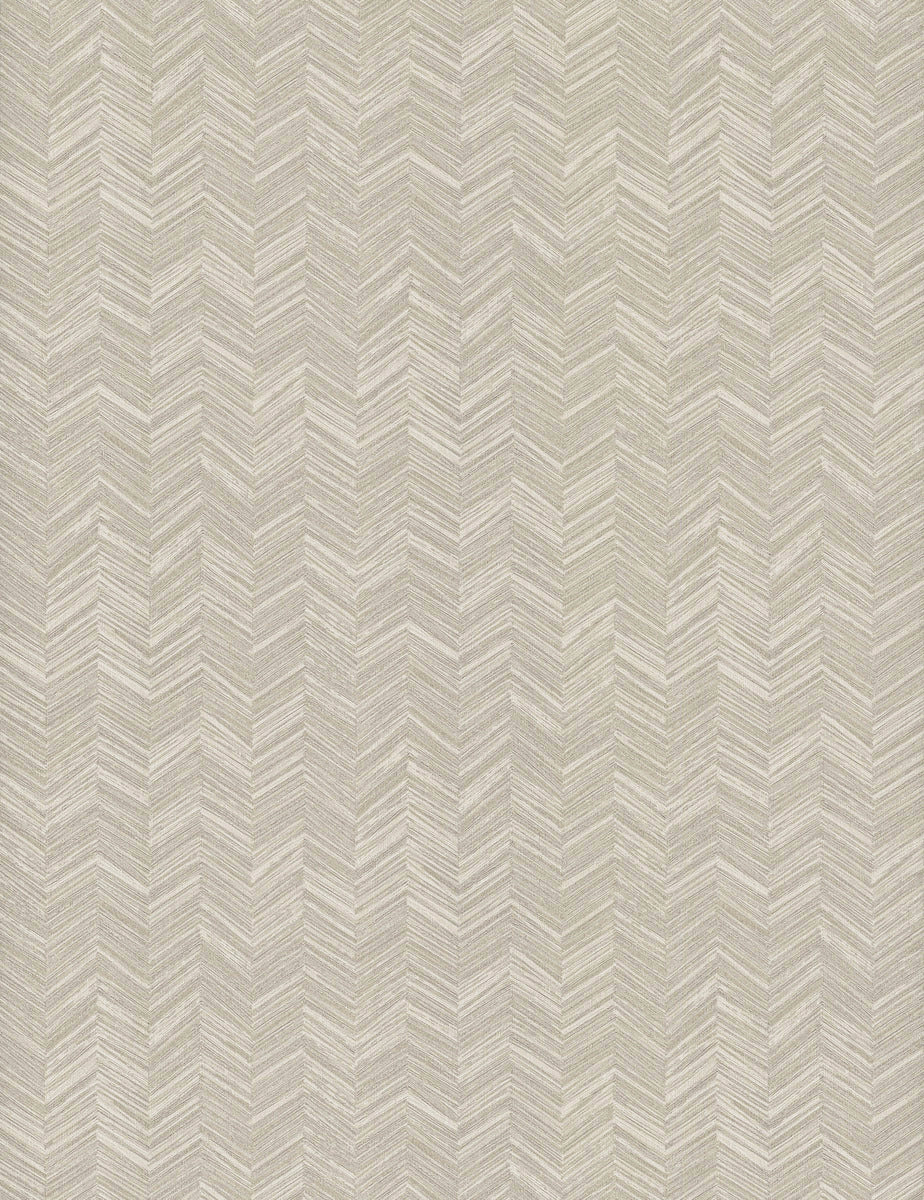 Paloma Texture