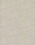 Paloma Texture