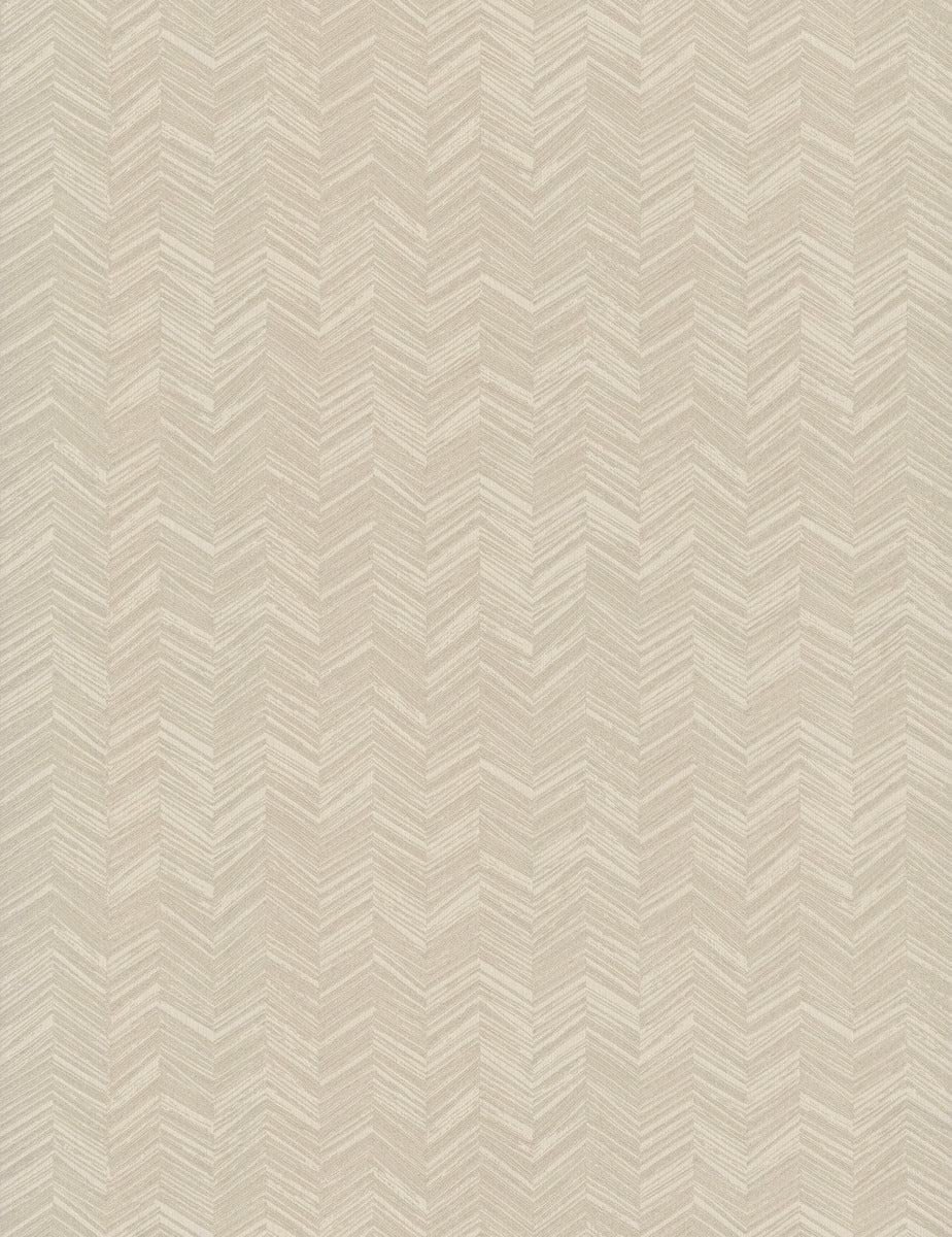 Paloma Texture