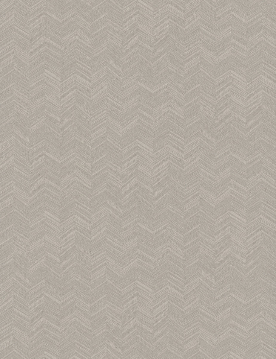 Paloma Texture
