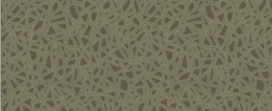 Metallic bg.w/green geo lines