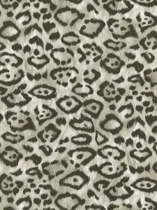 TA91008. Black and Silver Leopard