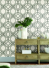 Load image into Gallery viewer, Sawgrass Trellis Wallpaper