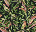 York Wallcoverings, York Wallpaper, SureStrip, Removable Wallpaper, Temporary Wallpaper, Easy Wallpaper, Wallcovering, Wal...