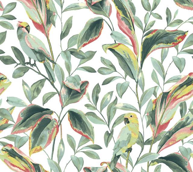 York Wallcoverings, York Wallpaper, SureStrip, Removable Wallpaper, Temporary Wallpaper, Easy Wallpaper, Wallcovering, Wal...
