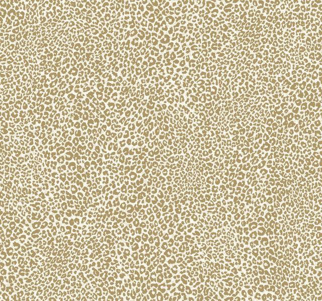 York Wallcoverings, York Wallpaper, SureStrip, Removable Wallpaper, Temporary Wallpaper, Easy Wallpaper, Wallcovering, Wal...