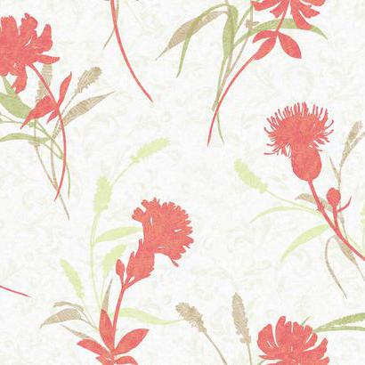 WB5402 Open Flora