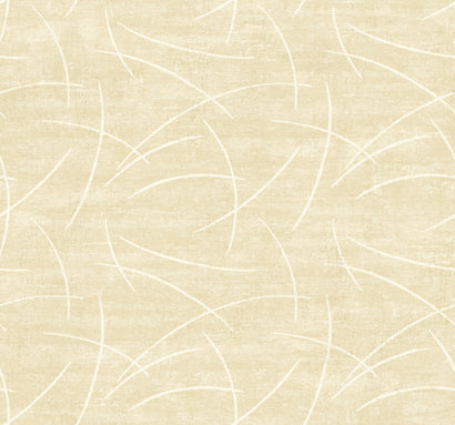 WC4429 cream bg.w/white lines