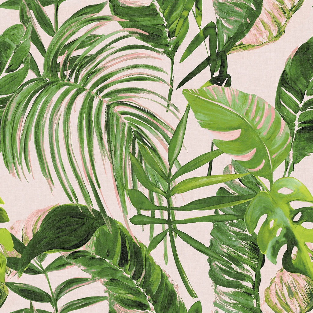 Tropical, Leaves, Botanical