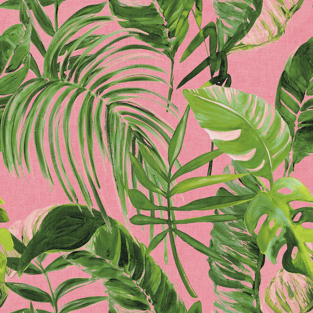 Tropical, Leaves, Botanical