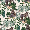 Tropical, Animals, Animals