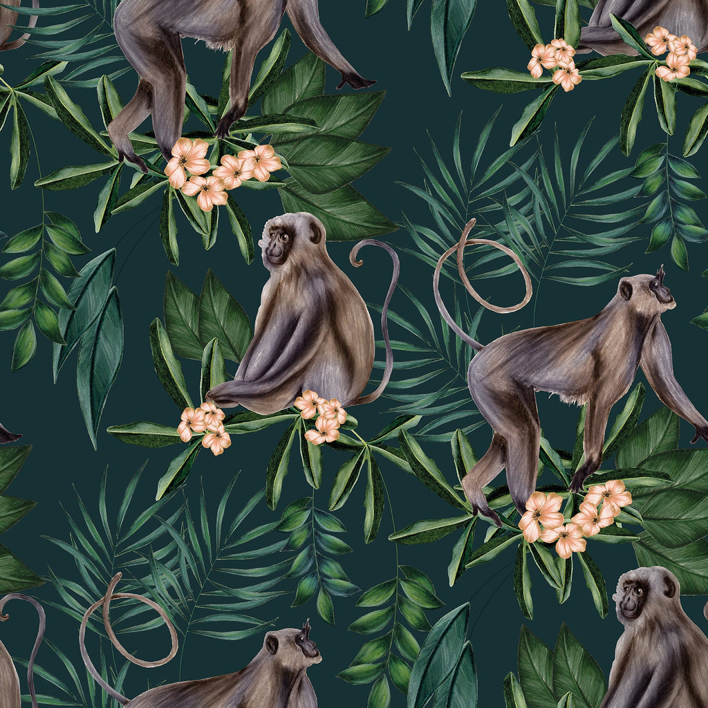 Tropical, Animals, Animals