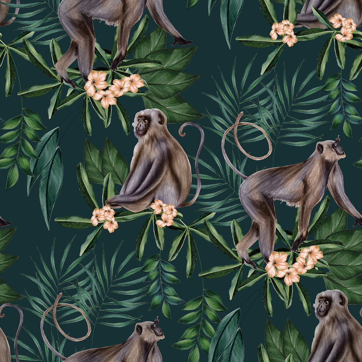 Tropical, Animals, Animals