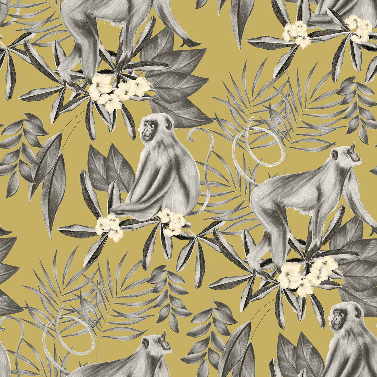 Tropical, Animals, Animals