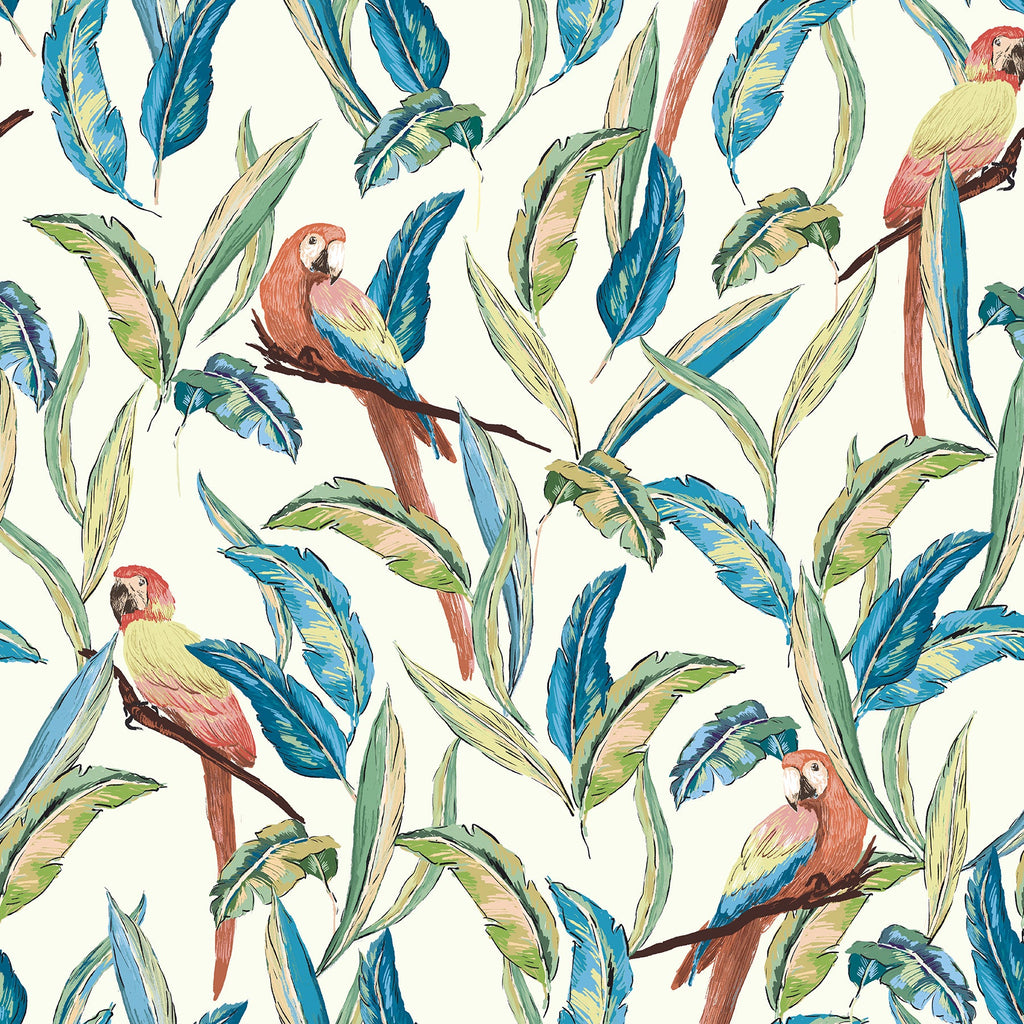 Tropical, Birds, Botanical
